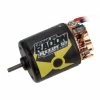 Team Associated Reedy Radon 2 Crawler 5-Slot Brushed Motor, 12T, 2700Kv: 3.5mm Bullet for Motors