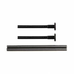 Team Associated Apex2 Hinge Pins for Parts