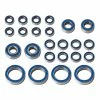 Team Associated RC10B6.4 FT Bearing Set for Parts